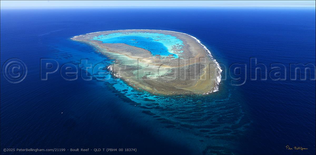 Peter Bellingham Photography Boult Reef - QLD T (PBH4 00 18374)